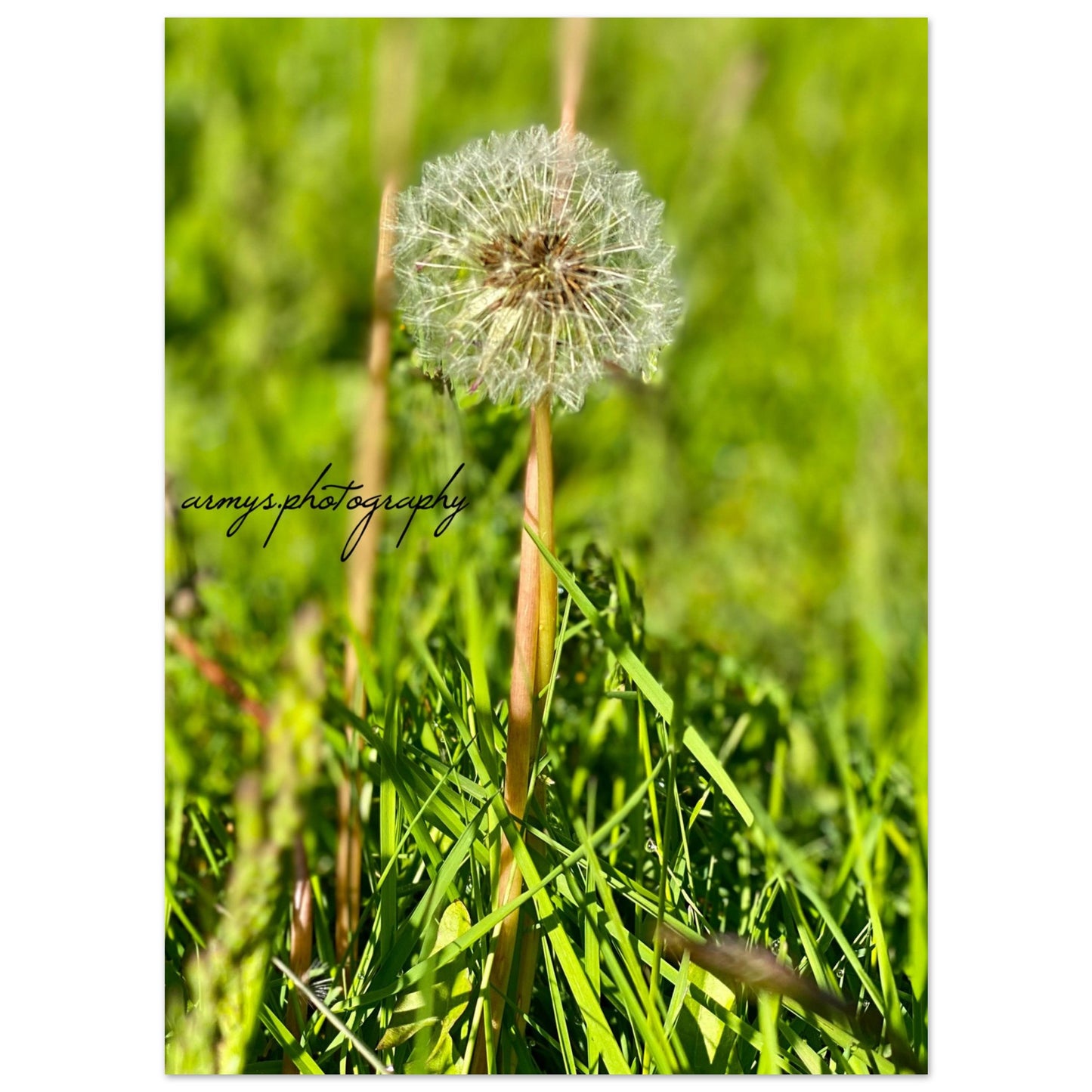 707c3cf2-95ef-4f0a-9da2-c1e476ac2291